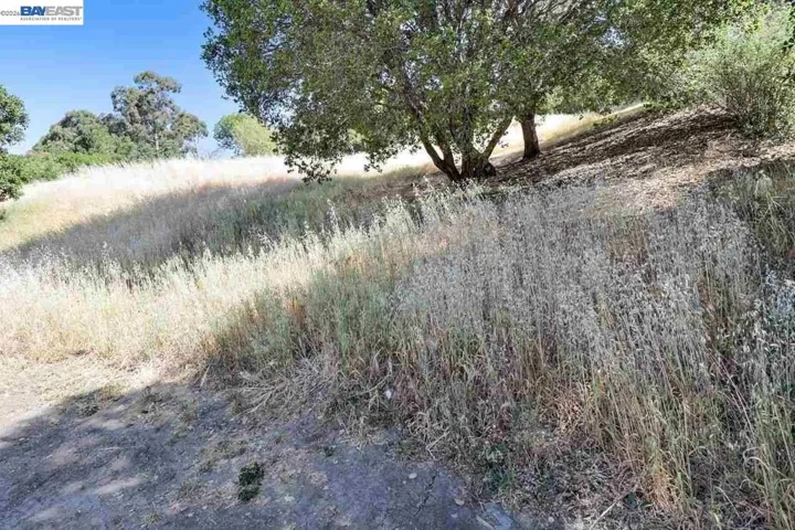 Outlook Ave, Oakland, California 94608 — photo 4