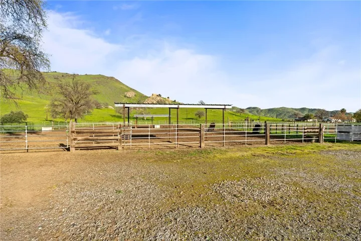 HORSE AREA
