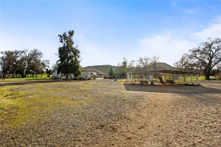 HORSE AREA