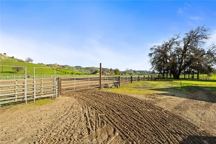 HORSE RING