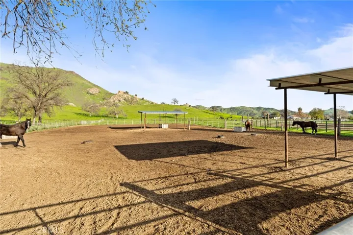 HORSE AREA
