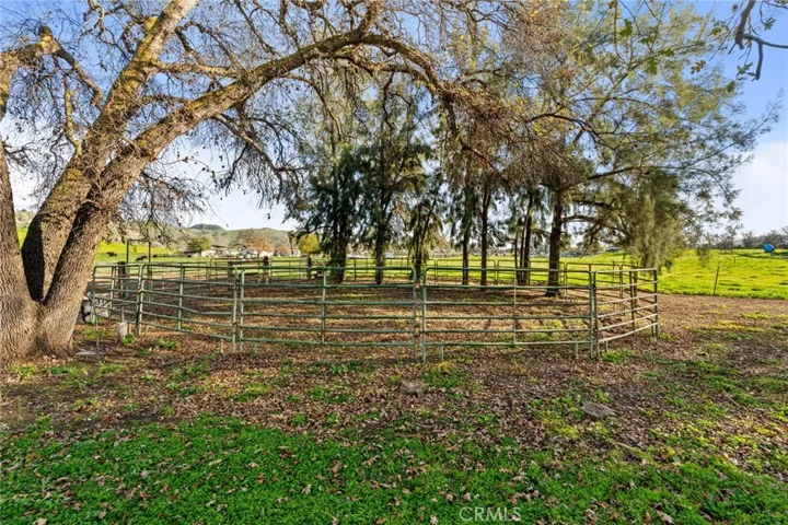 SMALL HORSE RING
