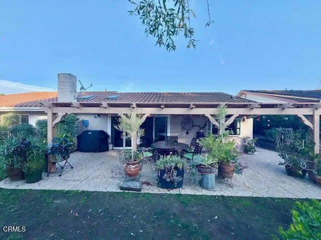 Backyard1