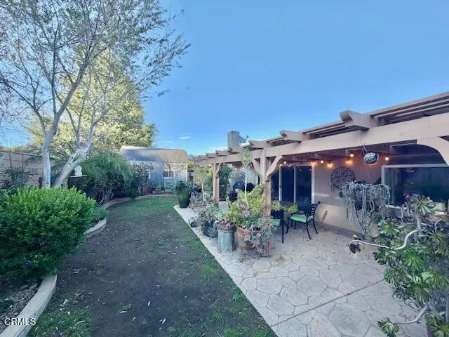 Backyard2