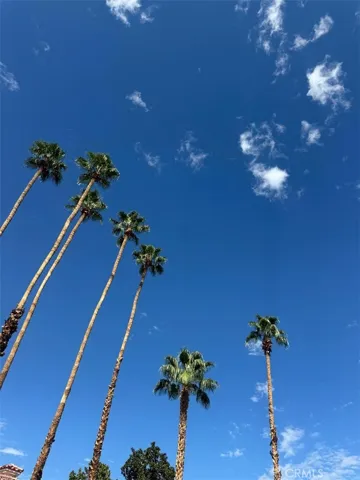 A view of the sky from the pool