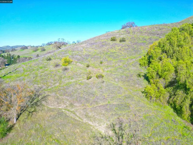 2590 2590 Caballo Ranchero Dr, Diablo, California 94528 — photo 4