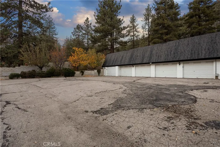Backyard/Garages