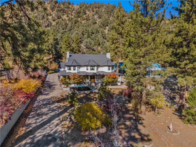 Property/Front Yard