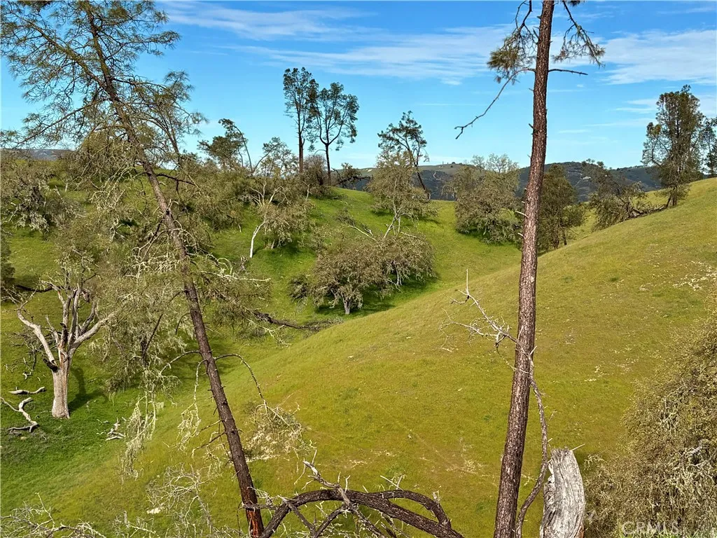 3260 Timberline Drive, Paso Robles, California 93446 — photo 5