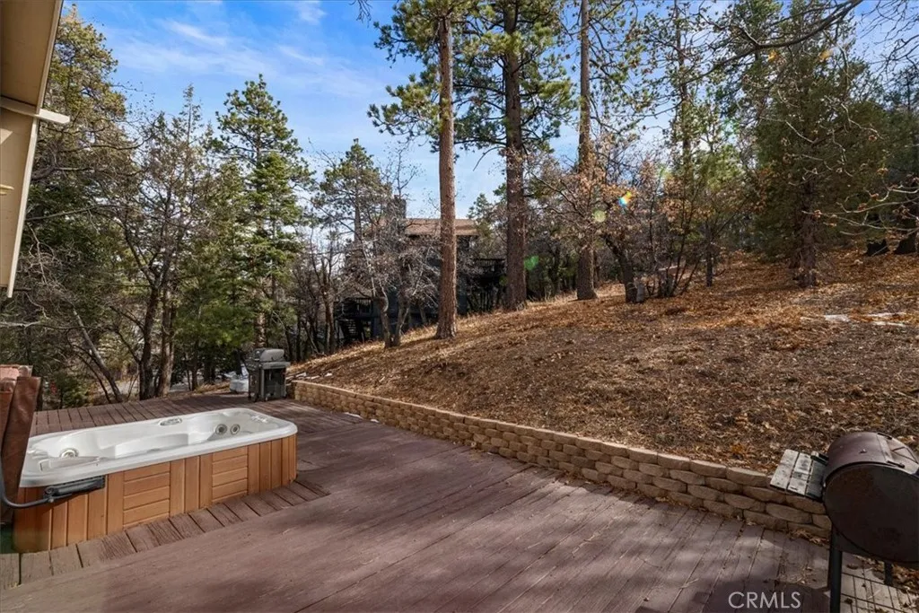 43485 Primrose, Big Bear Lake, California 92315 home-pic-15