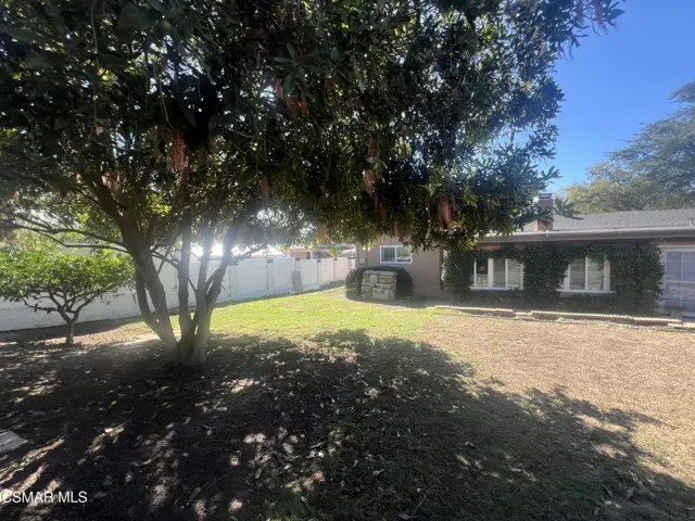 Photo Feb 18 2026, 12 29 34 PM