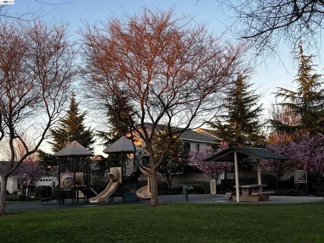 Brown Park