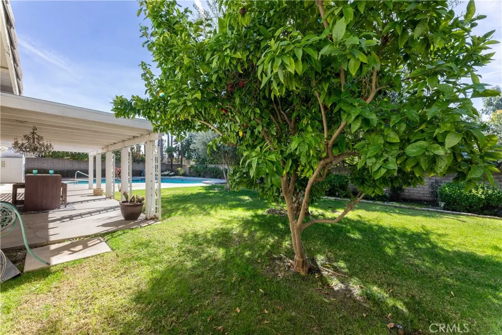 628 Charleston, Claremont, California 91711 home-pic-49