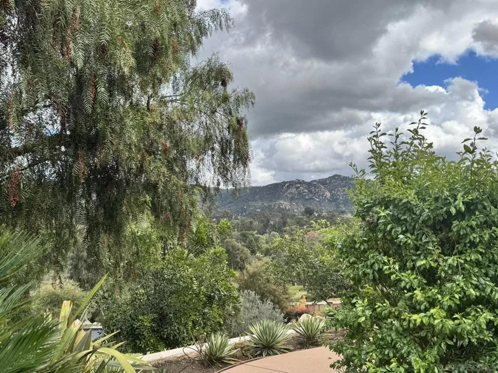 25440 Rue Lausanne, Escondido, California 92026 home-pic-51