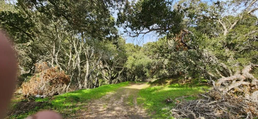 Salinas Road, San Juan Bautista, California 95045