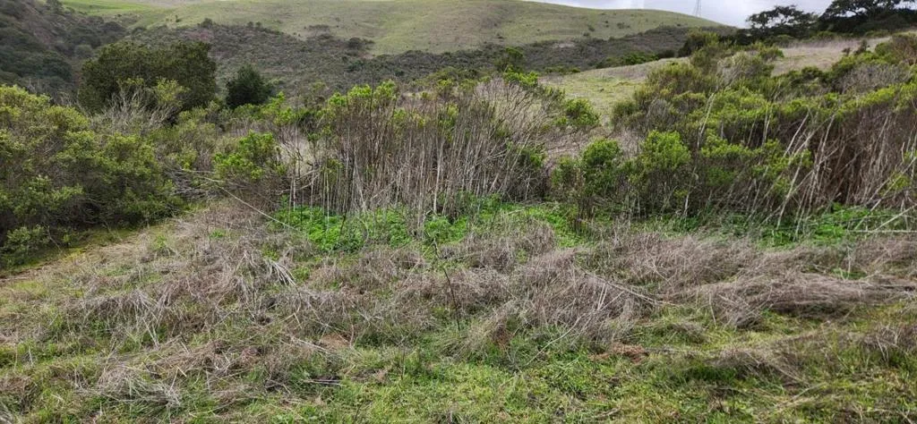 Salinas Road, San Juan Bautista, California 95045