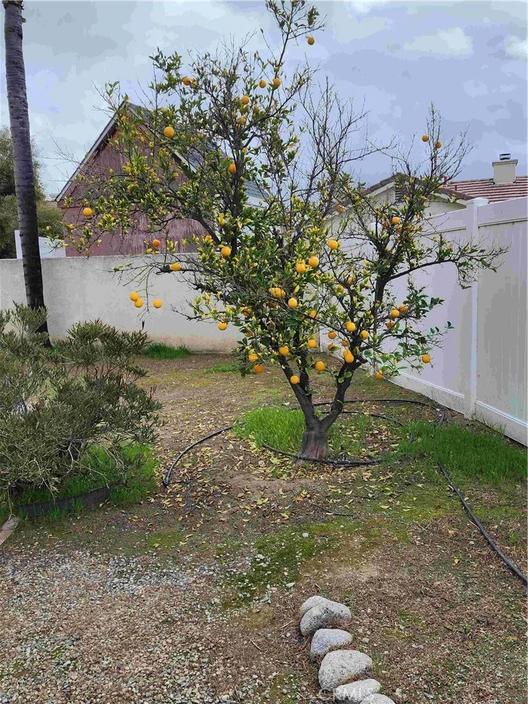 856 Harrow, Hemet, California 92545 home-pic-6