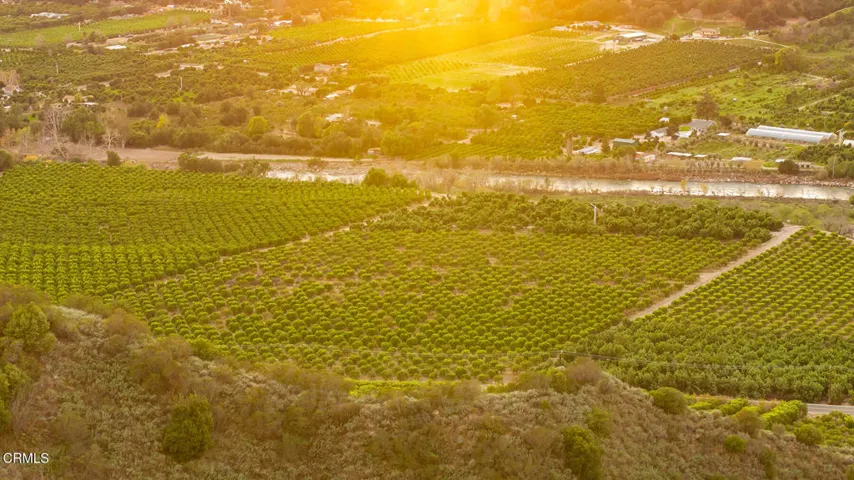 S8C_Filmore Orchard_10