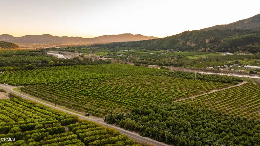 S8C_Filmore Orchard_14