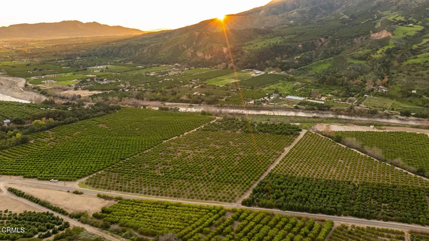 S8C_Filmore Orchard_12