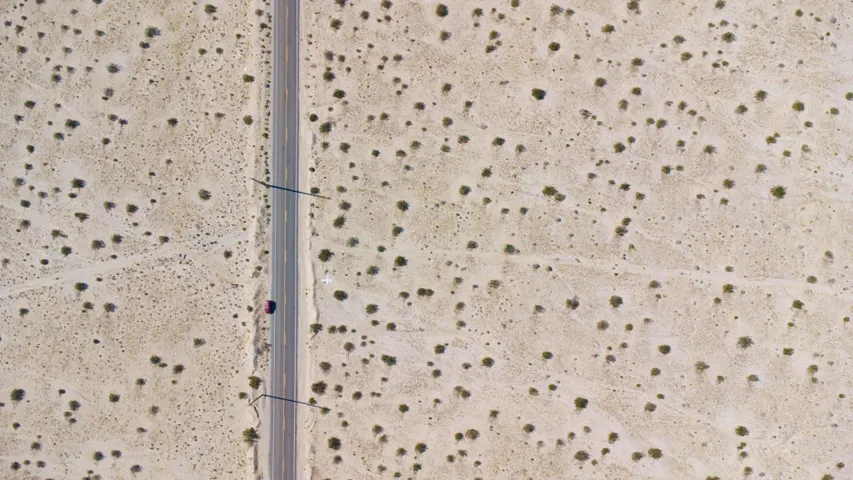 CatCityLot-16