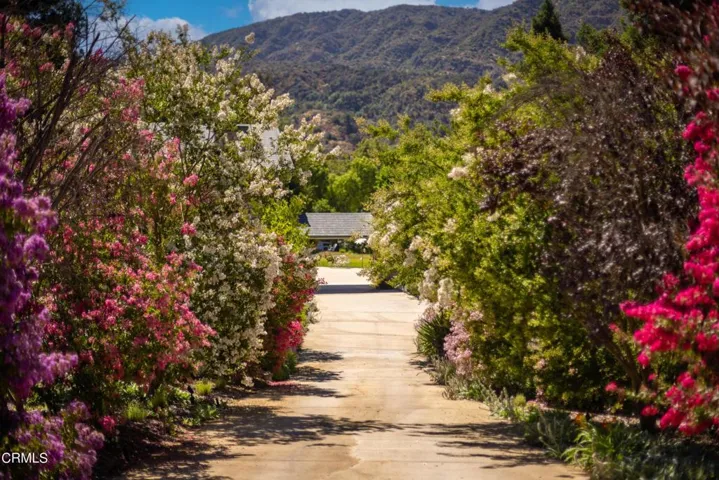 low741 Saddle_04 driveway blooming