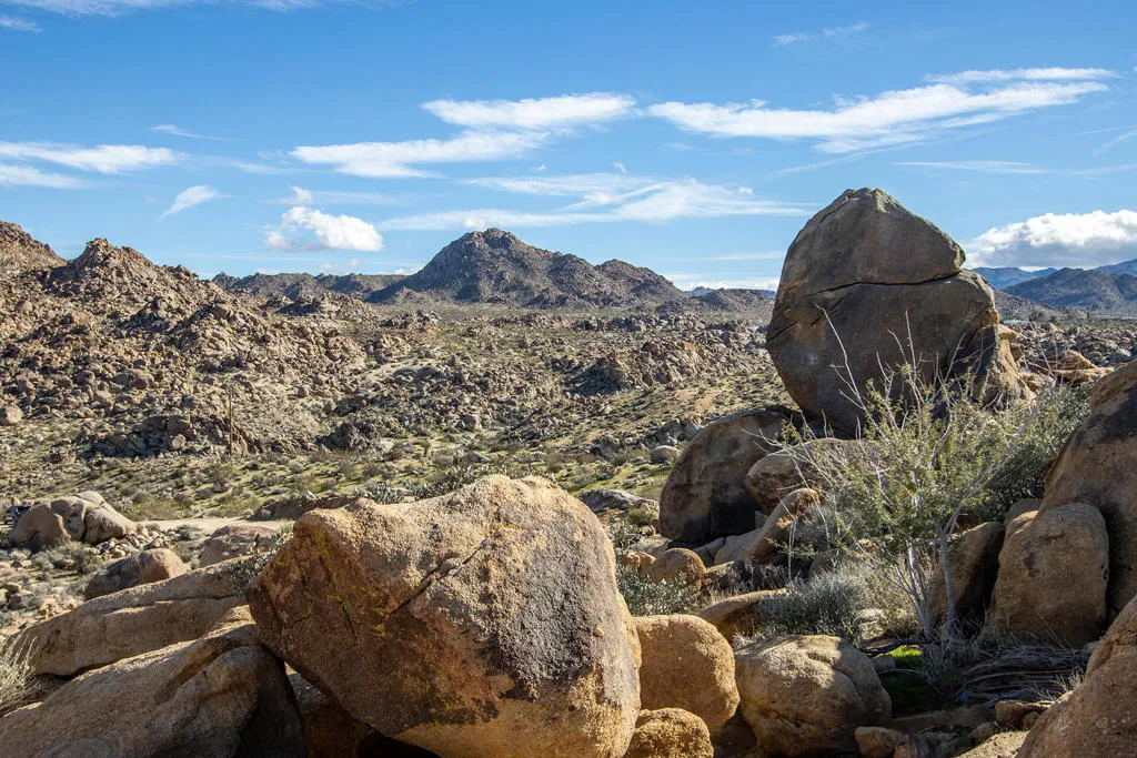 7201 Alturas Drive, Joshua Tree, California 92252 home-pic-42