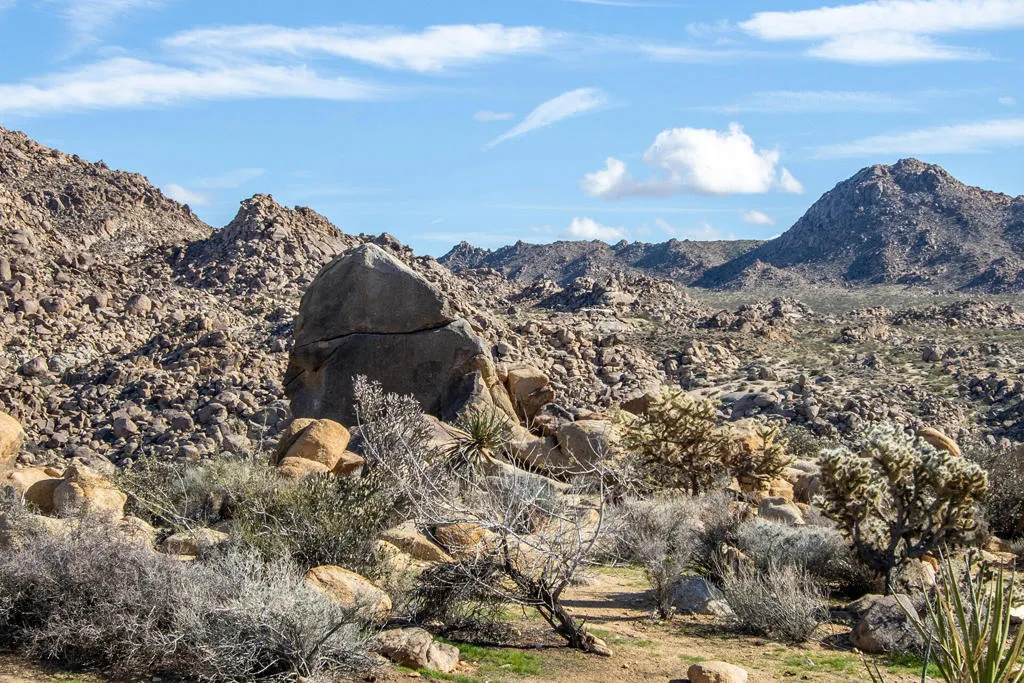 7201 Alturas Drive, Joshua Tree, California 92252 home-pic-39