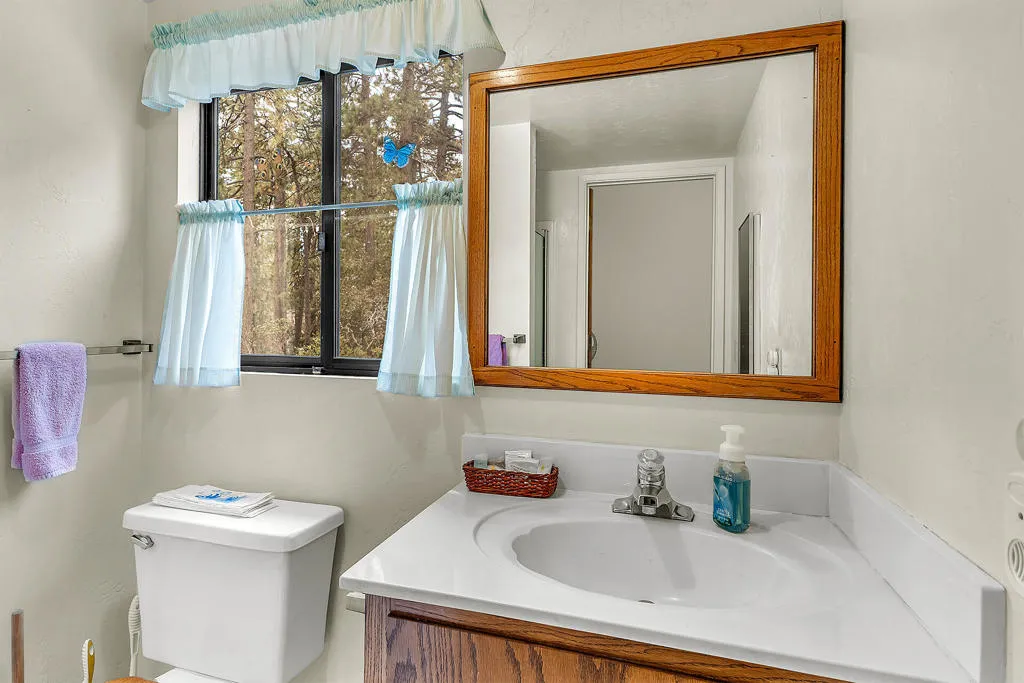 53037 Rockmere Drive, Idyllwild, California 92549 home-pic-36