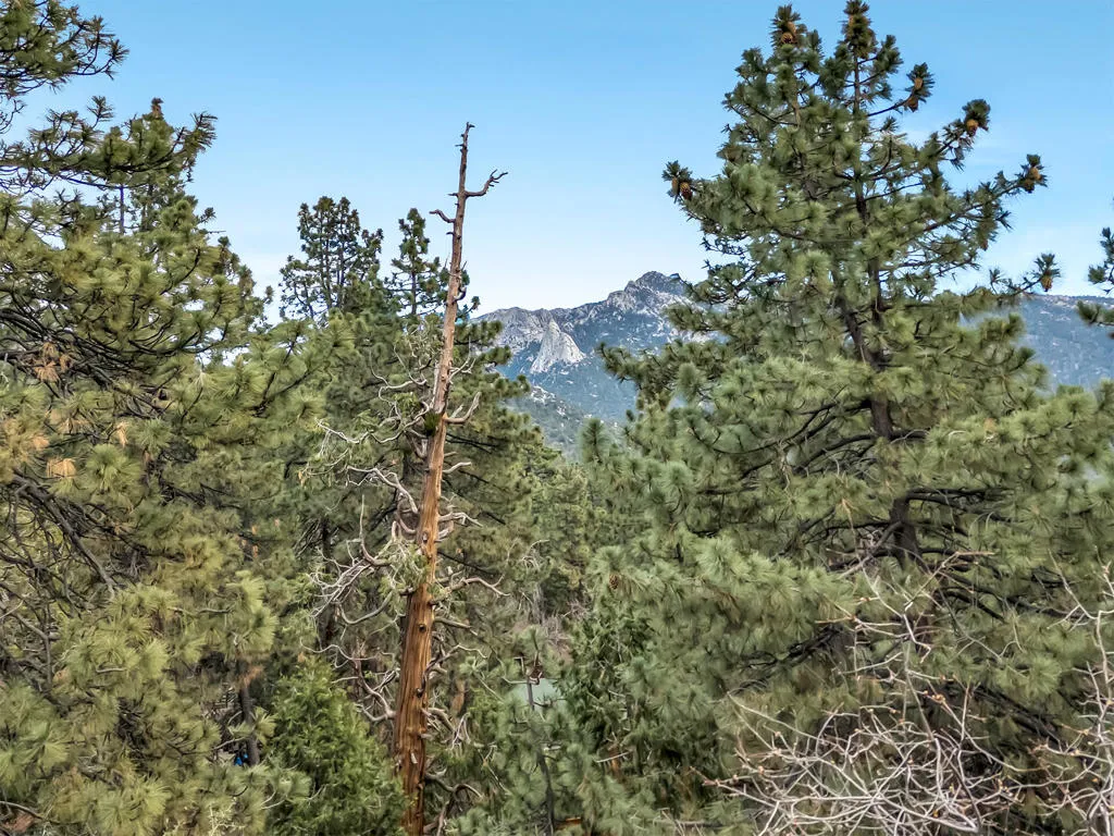 53037 Rockmere Drive, Idyllwild, California 92549 home-pic-5