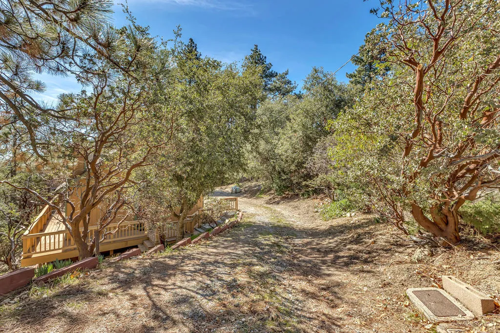 53037 Rockmere Drive, Idyllwild, California 92549 home-pic-6