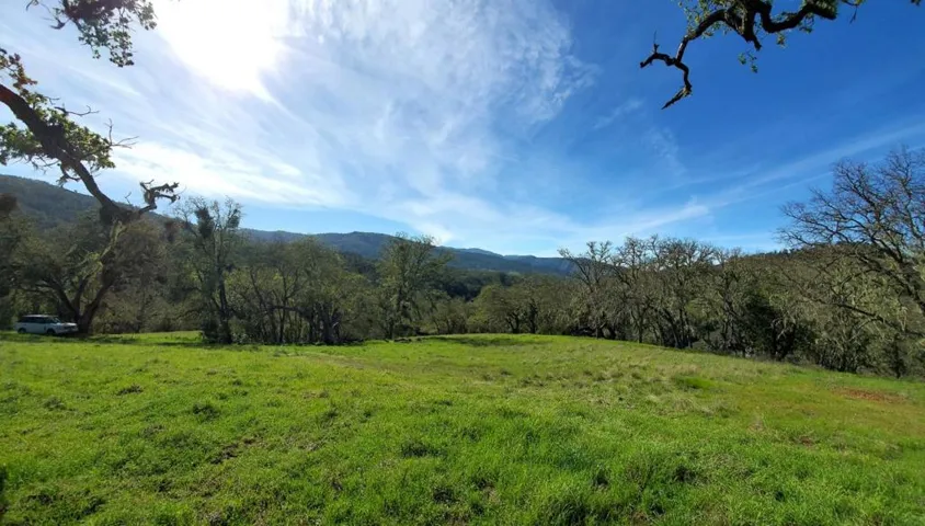 Escape To The Country