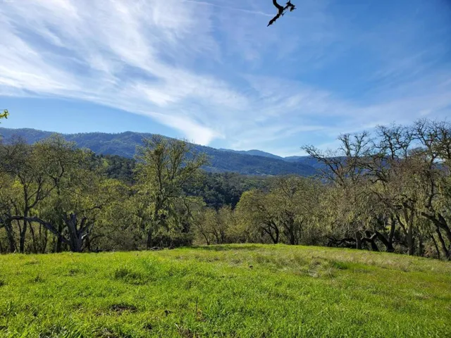 13+ Picturesque Acres