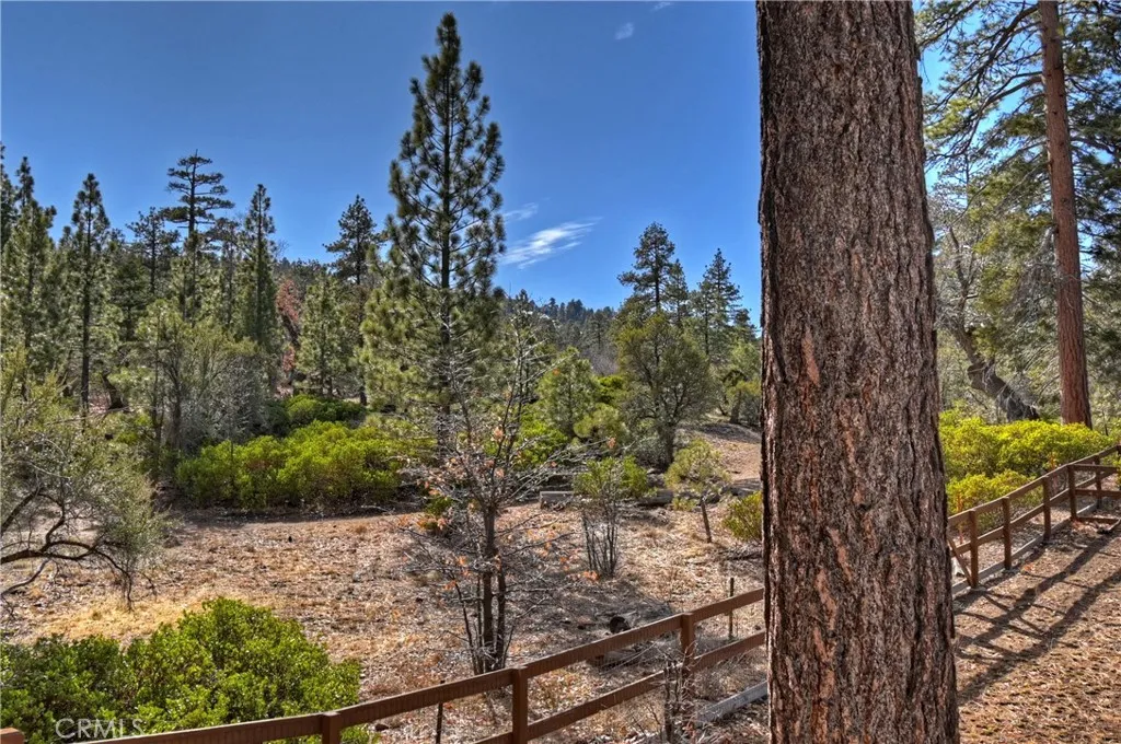42527 Willow, Big Bear Lake, California 92315 home-pic-45