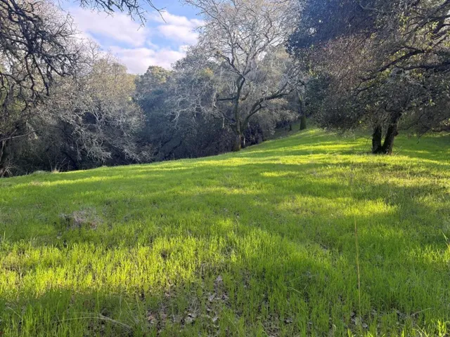 0 Chesbro Lake Drive, Morgan Hill, California 95037