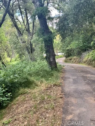 Coming up the driveway