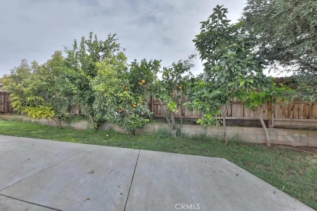 195 Antonio De Padua Court, Merced, California 95341 home-pic-19