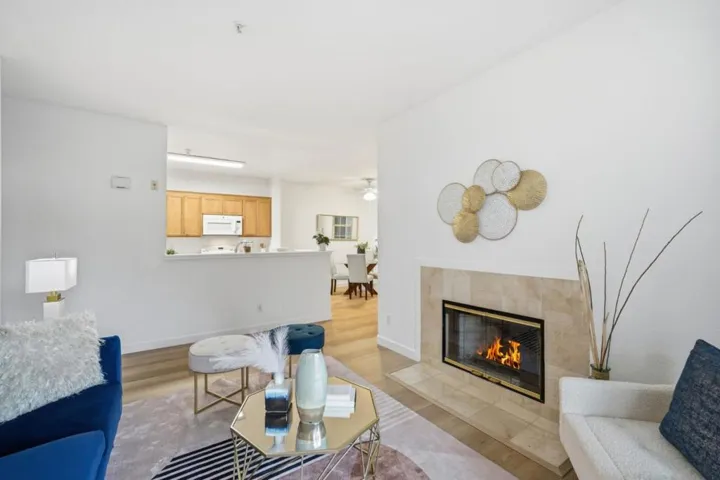 250 Santa Fe Terrace 209, Sunnyvale, California 94085