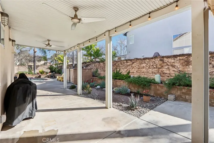 Cactus garden along side yard