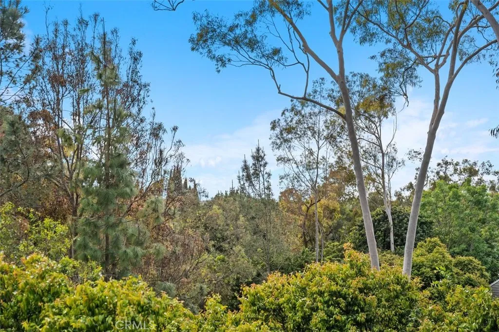 1 Rainbow, Irvine, California 92603 home-pic-30