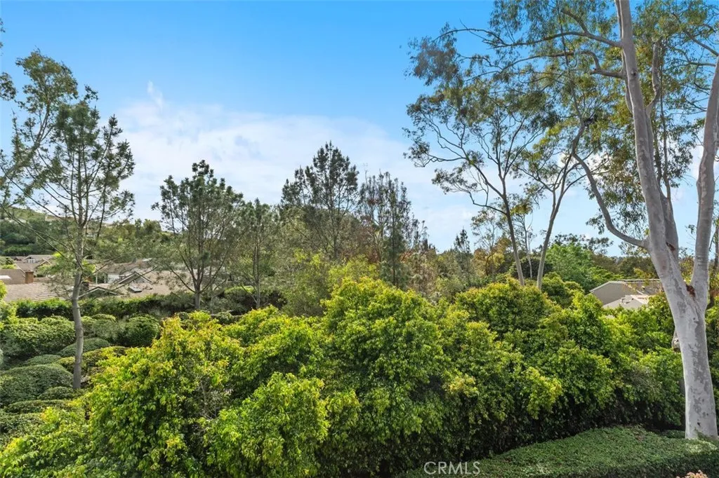 1 Rainbow, Irvine, California 92603 home-pic-29