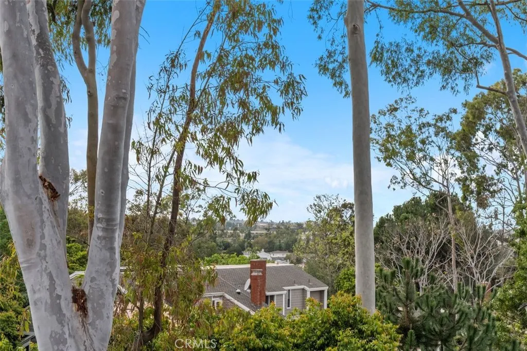 1 Rainbow, Irvine, California 92603 home-pic-31