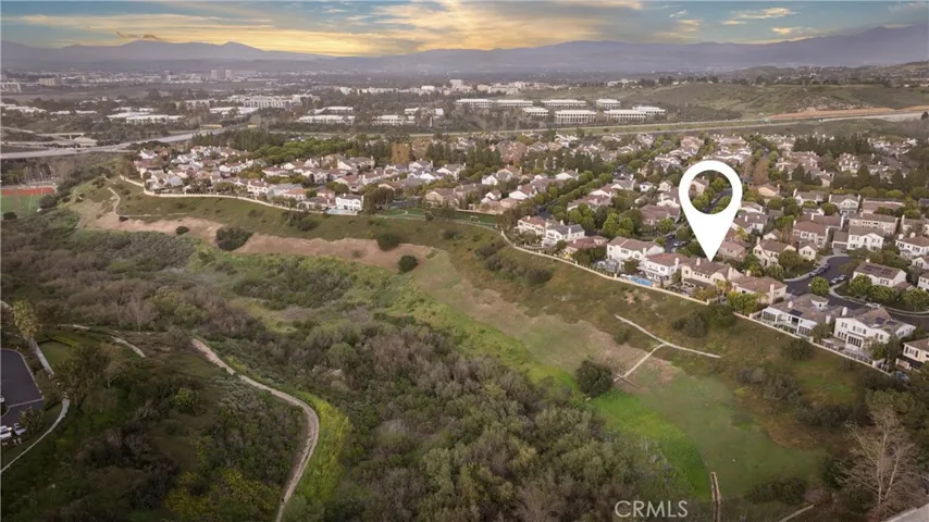 Overlooking the lush canyon