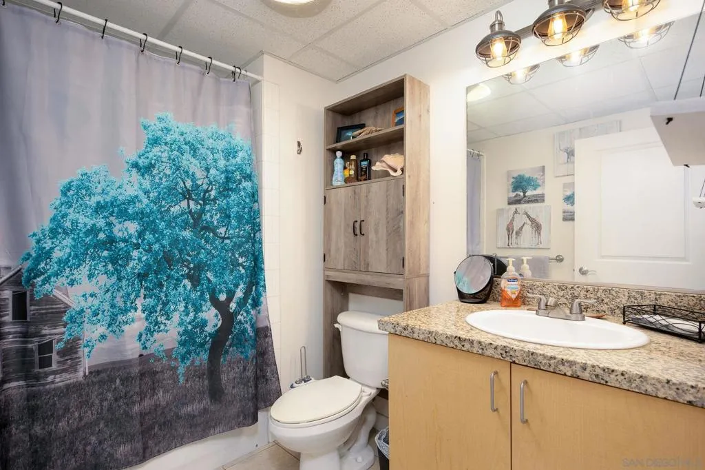 1080 Park Blvd 1116, San Diego, California 92101 home-pic-8