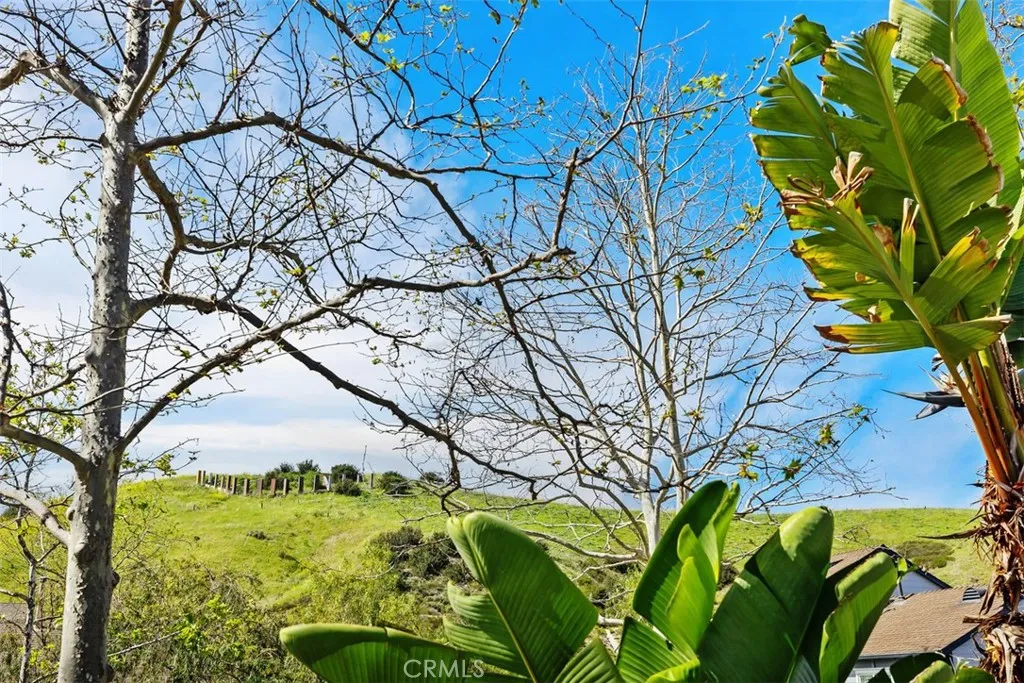 11 Oatfield Farm, Ladera Ranch, California 92694 home-pic-21