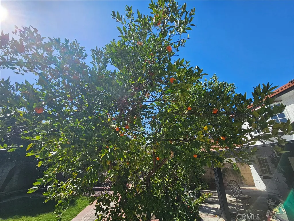 12524 Bryce, Cerritos, California 90703 home-pic-32