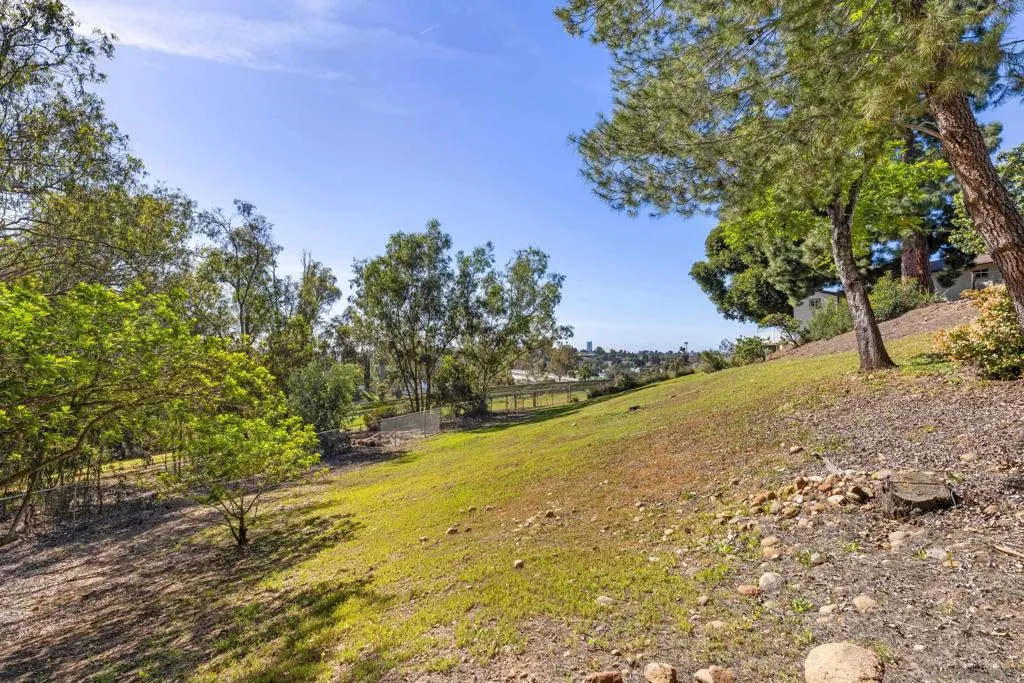 905 Loma Ct, El Cajon, California 92020 home-pic-38