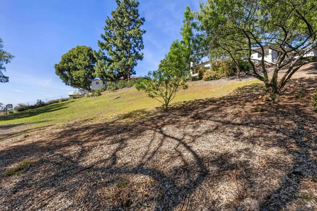905 Loma Ct, El Cajon, California 92020 home-pic-43