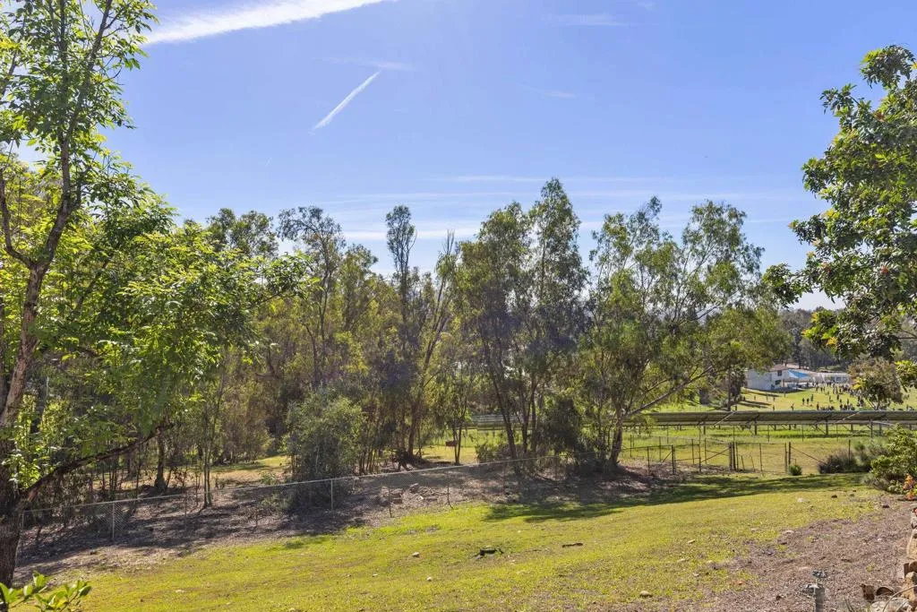 905 Loma Ct, El Cajon, California 92020 home-pic-37