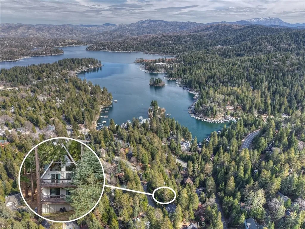 155 Birchwood, Lake Arrowhead, California 92352 home-pic-60